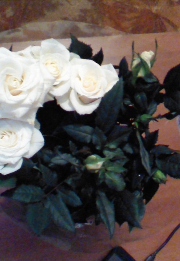 Elizaveta (@elizaveta6598) — my photo № 53