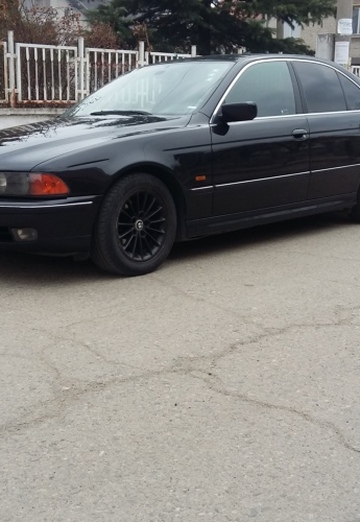 petar (@petar137) — my photo № 26