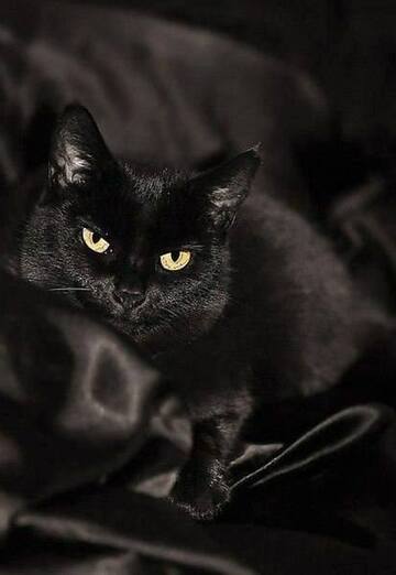 Miyaauvvv (@nadirabdullaevnadir) — my photo № 1