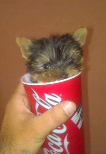 petar (@petar137) — my photo № 30