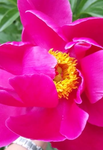 Nadejda (@nadejda55747) — my photo № 7