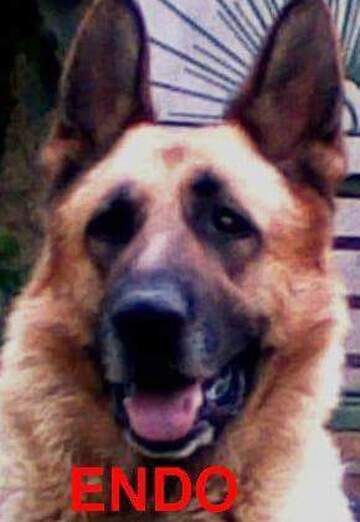 petar (@petar137) — my photo № 34