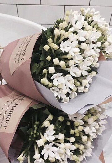 natasha (@natasha31383) — my photo № 5