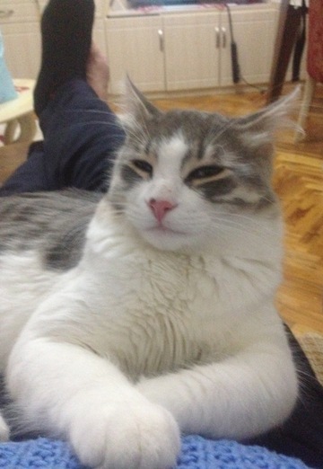 duman (@nedim4607029) — my photo № 6