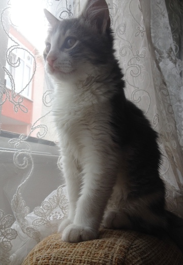 duman (@nedim4607029) — my photo № 9