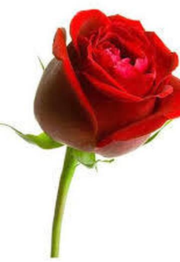 Paul William (@paulwilliam15) — my photo № 4