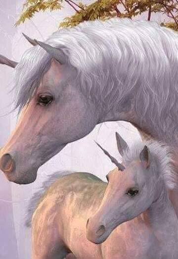 Paqui (@paqui5) — my photo № 1