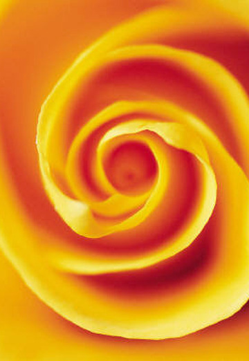 Nelli M. (@nelli1408) — my photo № 4