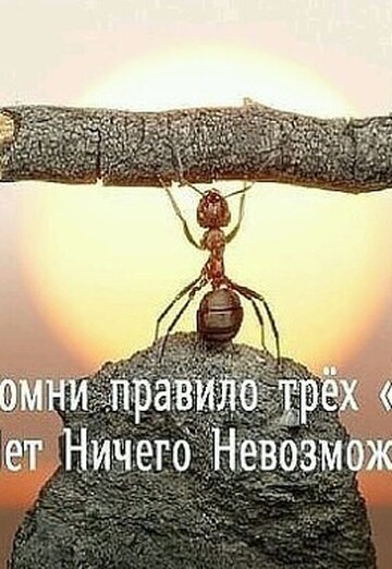 Jenshchina (@nadejda51888) — my photo № 1