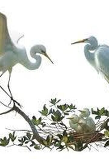 Nadejda (@nadejda19568) — my photo № 1