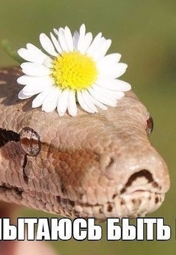 Natalya (@natalya110745) — my photo № 1