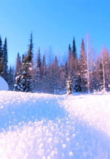 nellya pinkina (@nellyapapanova) — my photo № 10