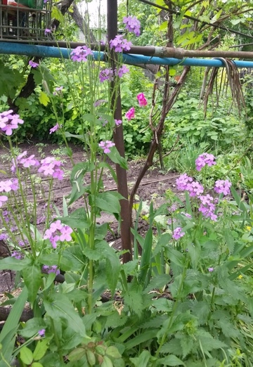 Nadejda (@nadejda55747) — my photo № 4