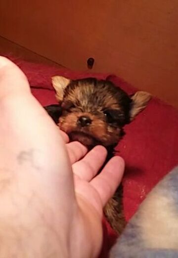 petar (@petar137) — my photo № 27