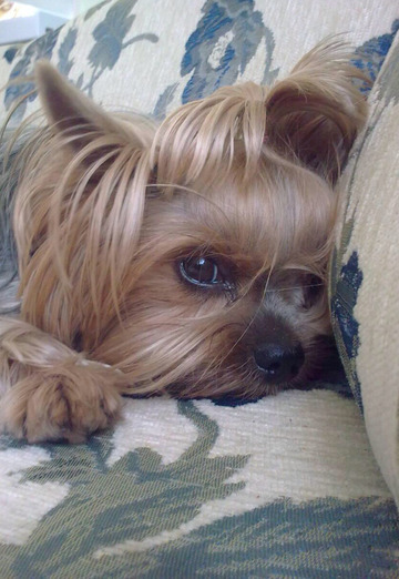 petar (@petar137) — my photo № 23