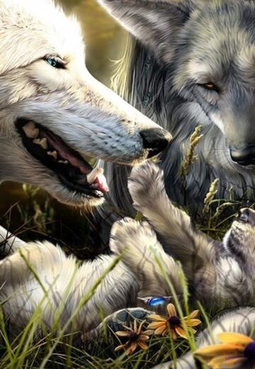 pka (@pka15) — my photo № 14