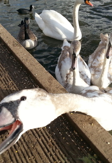 natali (@natali18181) — my photo № 4