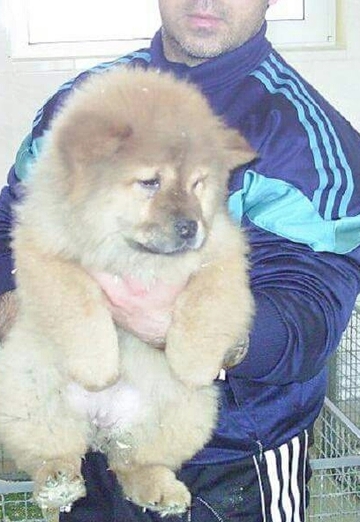 petar (@petar137) — my photo № 25