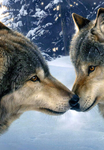 pka (@pka15) — my photo № 13