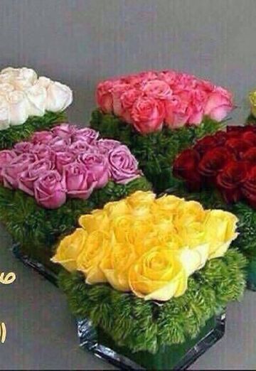 Nasr (@nasri49) — my photo № 1