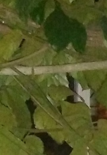 NATALI (@natali70173) — my photo № 4