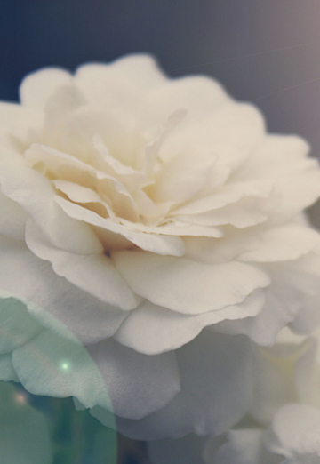 Natalya (@natalya138514) — my photo № 1