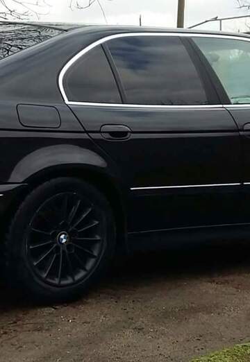 petar (@petar137) — my photo № 29