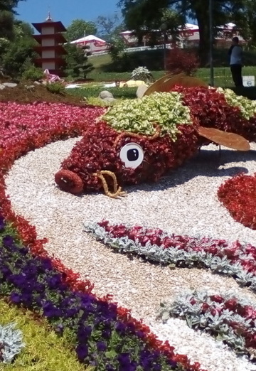 Nadejda (@nadejda60245) — my photo № 1