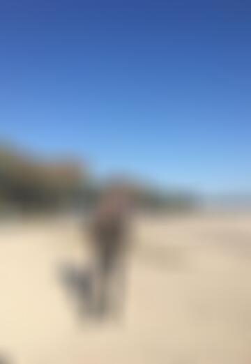 My photo - kaan bayer, 47 from Istanbul (@kaanbayer)