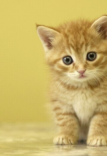 Pasha (@pasha25297) — my photo № 4