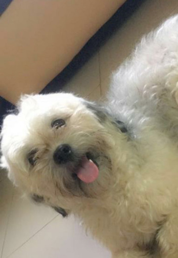 Princ (@princ831) — my photo № 5