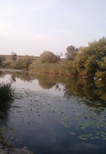 Nata (@nata11010) — my photo № 8