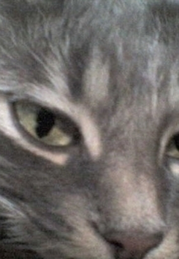 Nafanya (@nafanya013) — my photo № 8