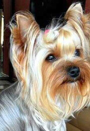 petar (@petar137) — my photo № 31