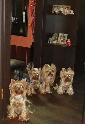 petar (@petar137) — my photo № 33