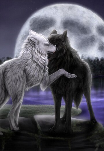 pka (@pka15) — my photo № 15