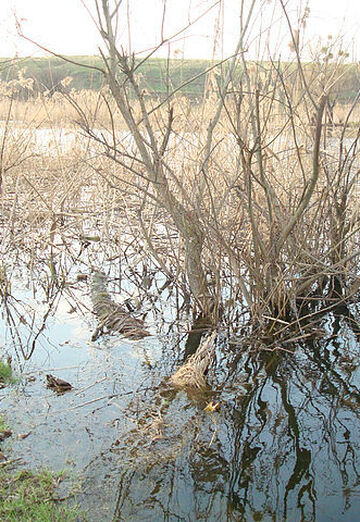 Nata (@nata11010) — my photo № 10