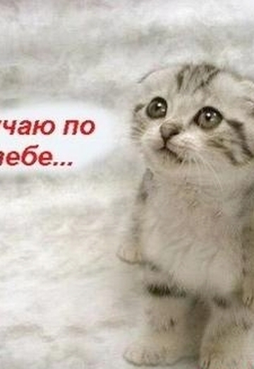 natusja (@natali52) — my photo № 4