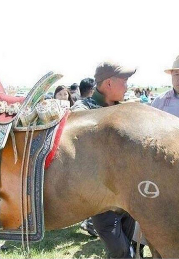 My photo - Nayman, 35 from Astana (@nayman39)