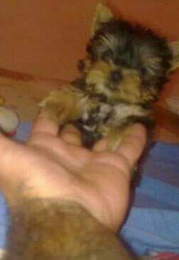 petar (@petar137) — my photo № 32