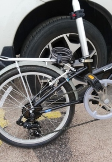 Peter Shang (@petershang) — my photo № 9