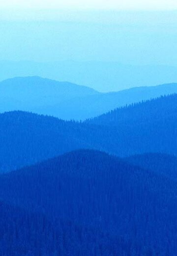 Nadirbek (@nadirbek38) — my photo № 1