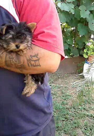 petar (@petar137) — my photo № 28