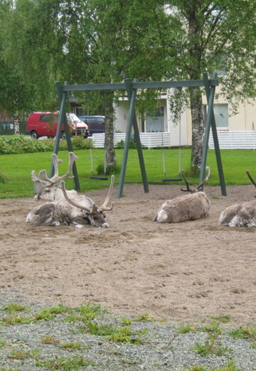 Mikko (@pekka4319957) — my photo № 2