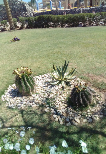 Natalya (@natalya215857) — my photo № 3