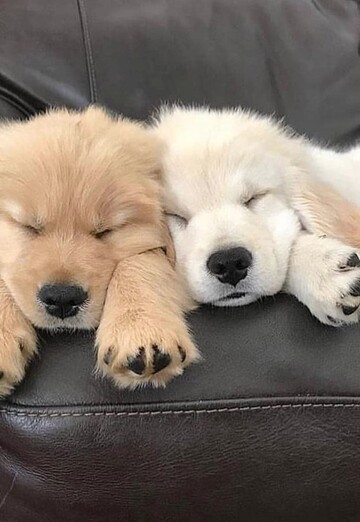 Paul William (@paulwilliam14) — my photo № 6