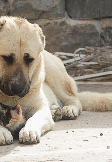 pka (@pka15) — my photo № 11