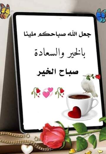 نور (@q2h45gls9p) — my photo № 1