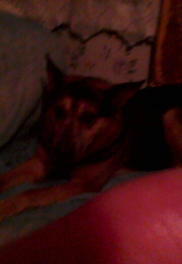 Aleksandr (@egamberdievshura) — my photo № 1