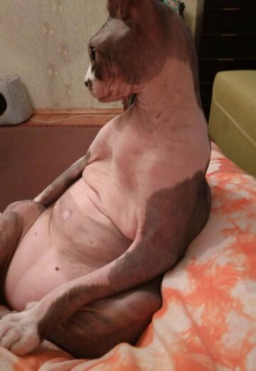 Nadejda (@nadejda60245) — my photo № 2